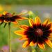 20070610_nagoyatrip_0151